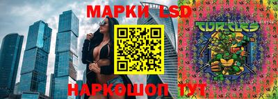 твердый Кандалакша