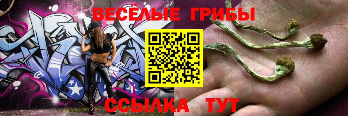 Псилоцибиновые грибы Cubensis  Псилоцибиновые грибы ЛСД  Вход с VPN  где купить   Кулебаки 